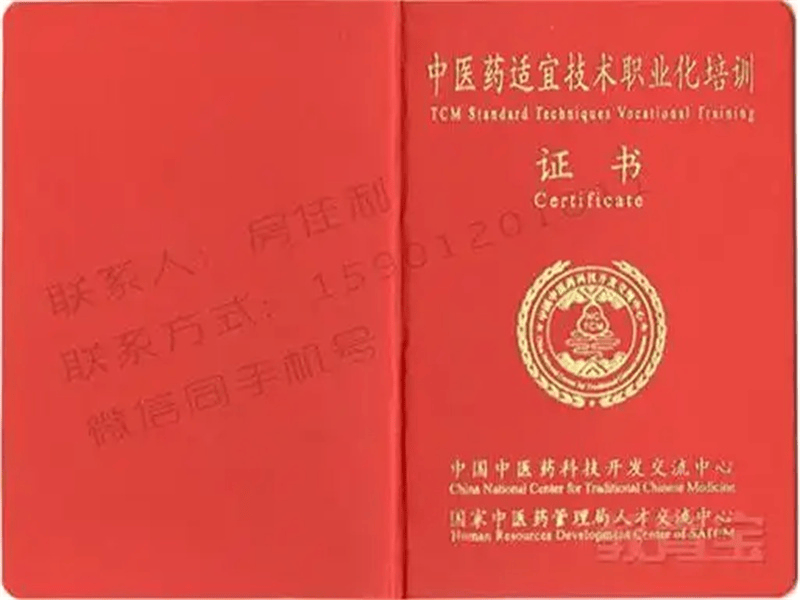 荣誉证书定制 荣誉证书定制-红金大气喜庆风